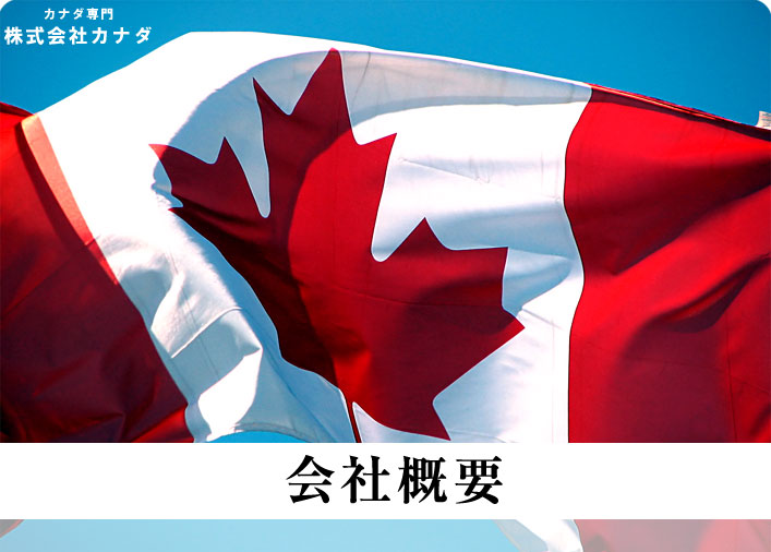 Ji_ ЃJi_ Ji_ی𗬃Z^[ Ji_w Ji_[z [LOzf[ Ji_ڏZ